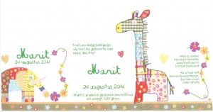 20140824 Geboorte Marit Vervloet